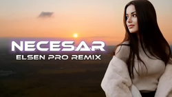 Elsen Pro - Necesar (Tiktok Remix)